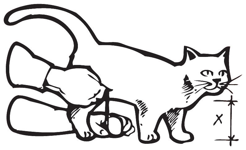 Measuring a cat's belly height from the floor