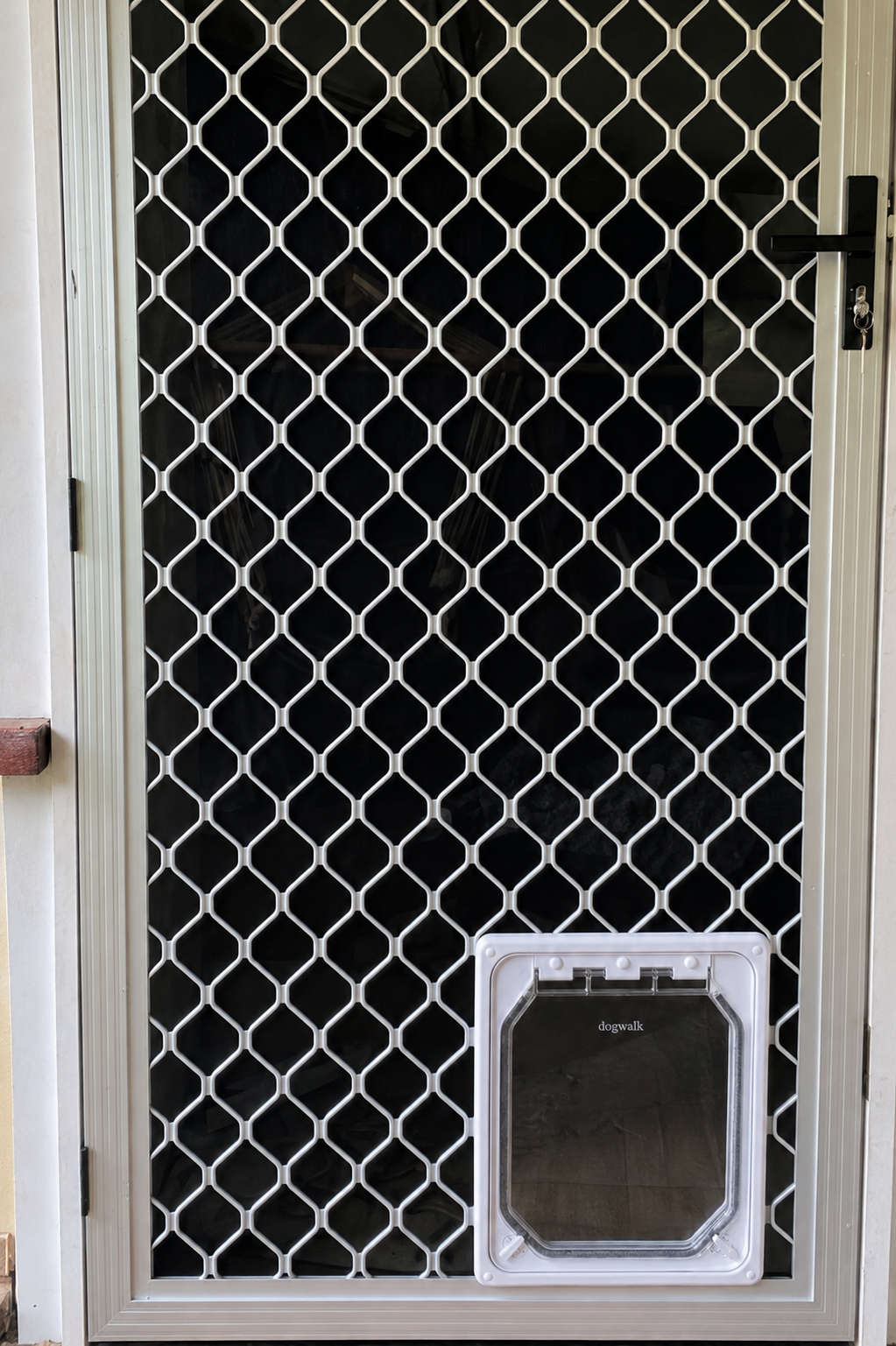 White Dogwalk wood-fitting Medium dog door installed in a metal mesh security door