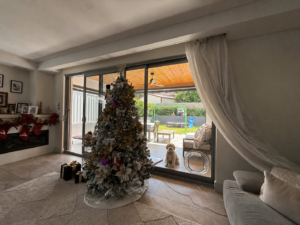 A dog resting by a sunlit glass sliding door fitted with a Dogwalk Intermediate dog door, in a living room decorated for Christmas