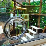 Clear Catwalk Maxi cat door fitted in glass beside garden steps, seen from outside