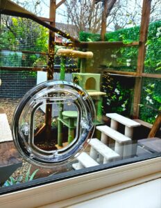 Catwalk Maxi pet door in clear fitted into a glass door, looking out to garden steps and greenery