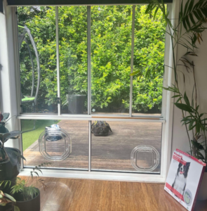 A Dogwalk Intermediate Slim Line and a Dogwalk Medium Slim Line glass-fitting dog door installed side by side in two panels of one window frame