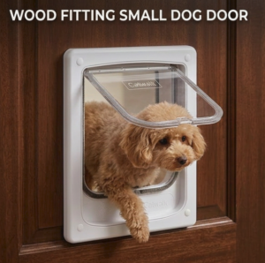 A small dog coming through the white Dogwalk wood fitting small dog door