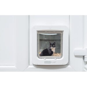 Cat looking in through the flap of a SureFlap Microchip Pet Door Connect