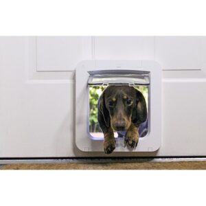 Small dog coming through a SureFlap Microchip Pet Door Connect in a white door