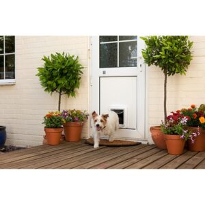 Small dog in the garden next to a back door fitted with a SureFlap Microchip Pet Door Connect