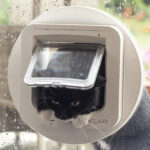 Black cat coming in through a white SureFlap Microchip Cat Flap fitted in a glass door