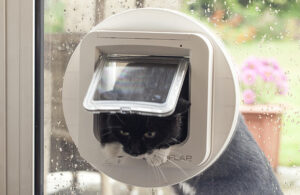 Black cat coming in through a white SureFlap Microchip Cat Flap fitted in a glass door