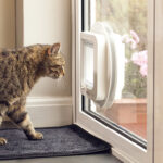 Tabby cat looking out through a white SureFlap Microchip Cat Flap fitted in a door
