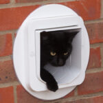 Black cat stepping out through a white SureFlap Microchip Cat Flap fitted through a wall