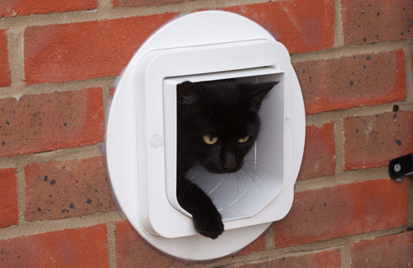Black cat stepping out through a white SureFlap Microchip Cat Flap fitted through a wall
