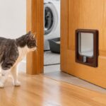 Grey and white cat walking towards a brown Catwalk cat door fitted in a timber internal laundry door