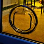 Clear Catwalk Maxi pet door in a dark blue-framed glass door at night, with warm light from the room inside