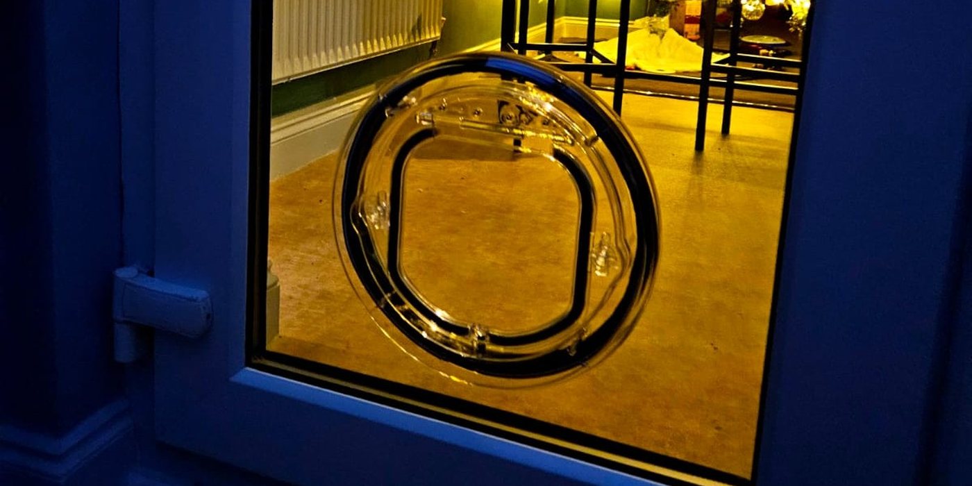 Clear Catwalk Maxi pet door in a dark blue-framed glass door at night, with warm light from the room inside