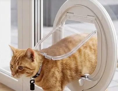Ginger cat wearing a collar magnet stepping through a white Catwalk Multi-Magnetic cat door