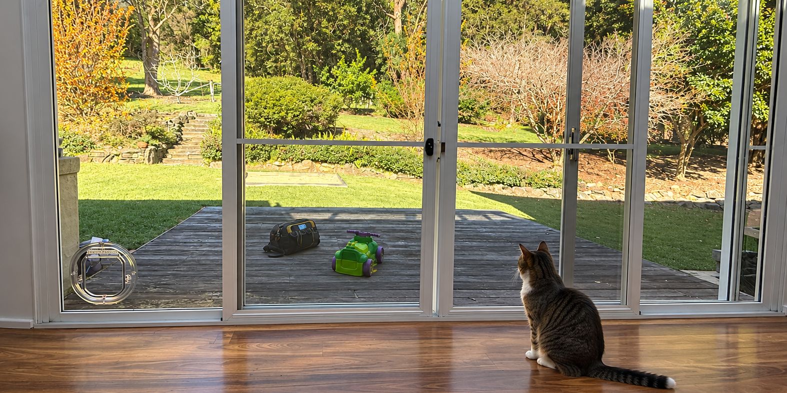 Tabby cat sitting inside by a glass wall, with a clear Catwalk Maxi Slim Line pet door fitted low in the fixed glass panel
